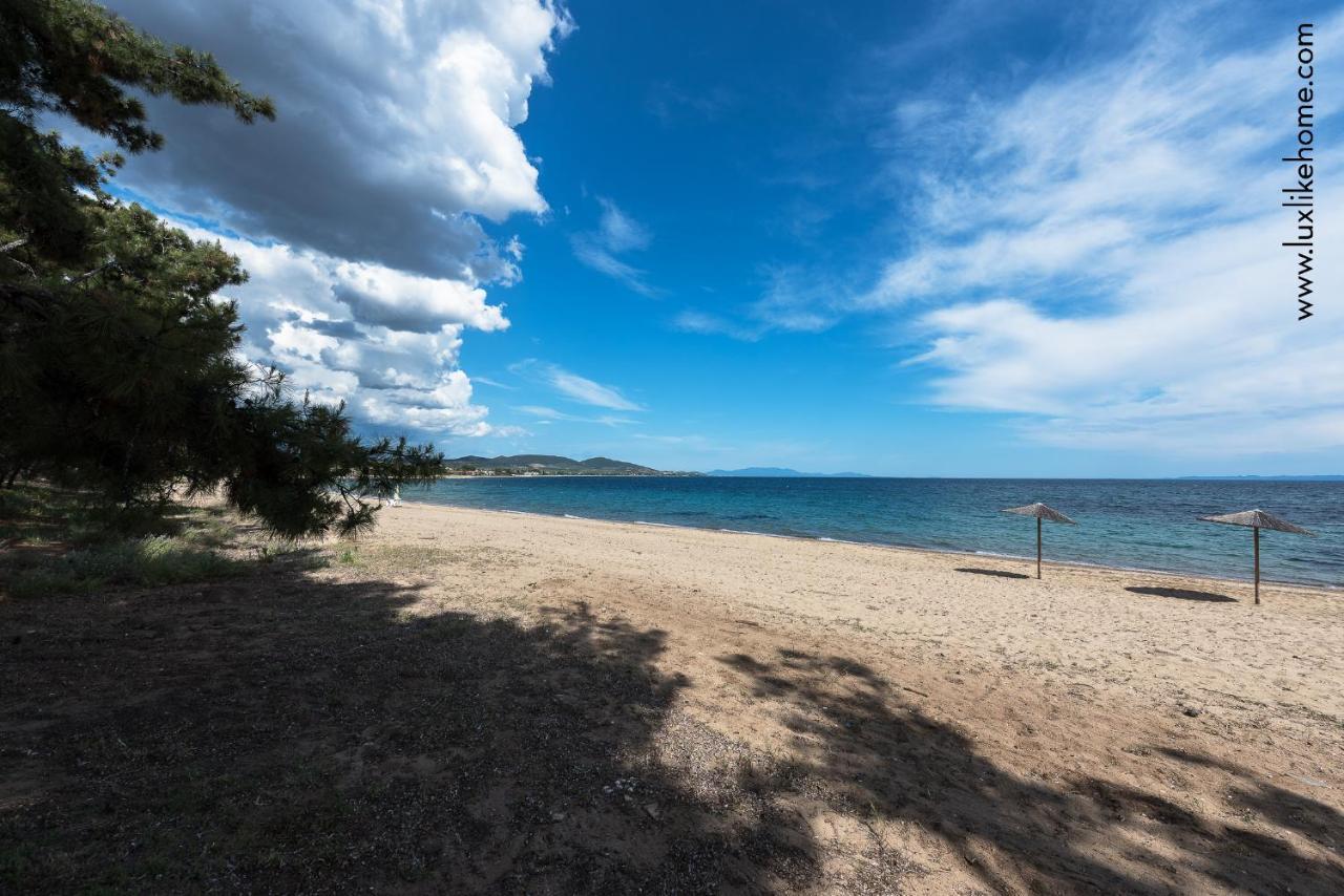 #Luxlikehome - Mediterranee Beachfront Summer House Kalyves Polygyrou ภายนอก รูปภาพ